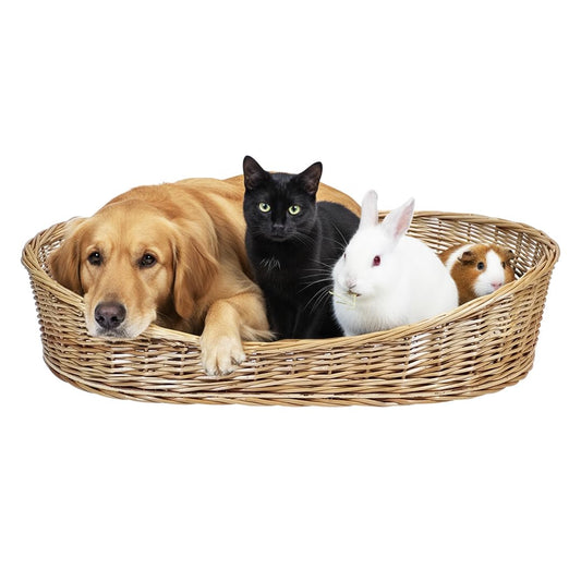 Pet cushion for Dogs, Cats & Other, Natural rattan with wicker basket, 96 cm Durable furniture and Cozy bed, Eco-friendly, Soft cushion and Mat for all seasons, Elegant and Ventilation design (Brown)