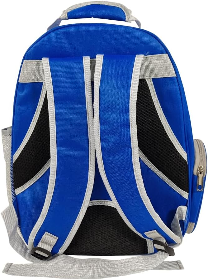 Pet backpack, Transparent breathable portable carrying bag, Airline-approved for cats and small dogs, Pet carrier designed for Travel, Hiking, and shopping outdoor