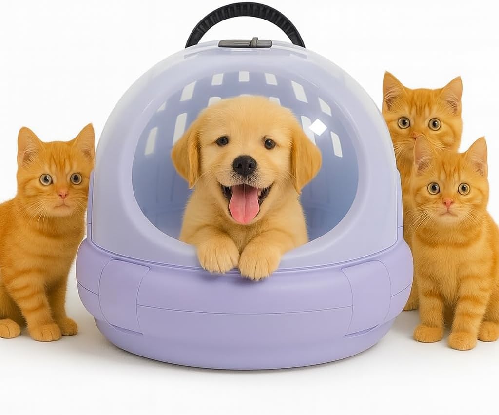 Cat Carrier | Spacious Pet Carrier for Dog & Cats with Safety lock, Handle & Ventilation Holes | Cat Travel Carrier for Outdoor Use with Transparent Design | Easy to Clean
