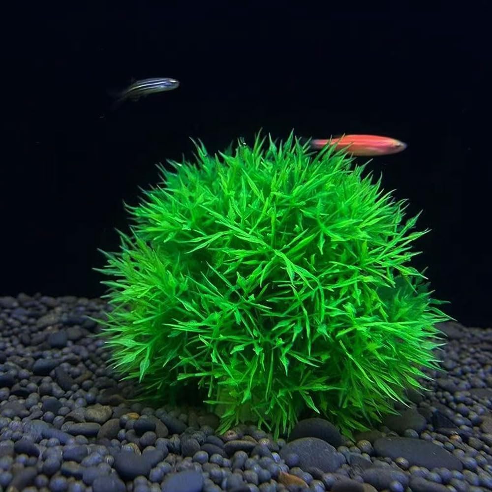Aquarium Fish Tank Plastic Plants and Cave Rock Decorations Set 7 PCS, Small and Large Artificial Fish Tank Plants with Cave Rock Fish Tank Accessories Style B