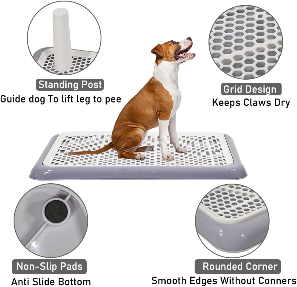 Dog potty training tray for small to medium dogs, Durable pee pad holder with Detachable pee post, Grid design, and Non-slip bottom, Ideal for training & daily use 50 cm