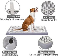 Dog potty training tray for small to medium dogs, Durable pee pad holder with Detachable pee post, Grid design, and Non-slip bottom, Ideal for training & daily use 50 cm