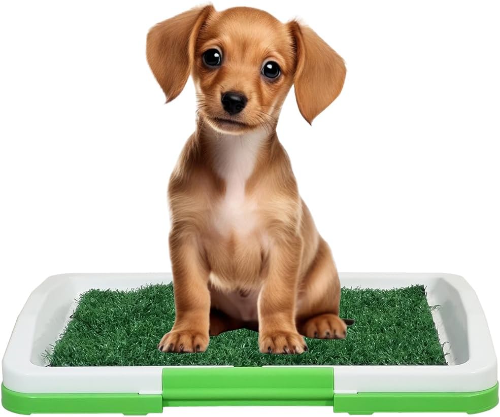 Puppy potty tray with 3-layer design, Odor-resistant mat, Grid, and Base tray, Artificial grass dog toilet for Indoor/Outdoor use, Ideal for Small dogs, Easy to clean, 47 cm (Green)