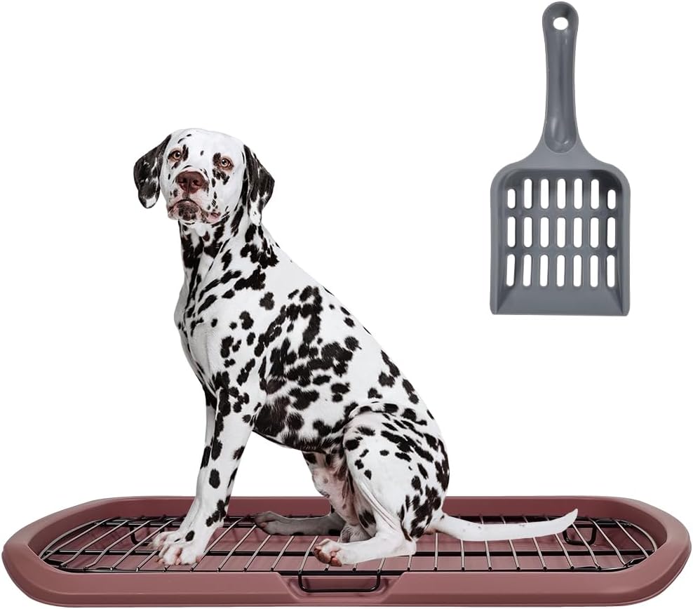 Dog toilet with Sturdy iron mesh, Carrying handle, and Litter scoop, Detachable indoor trainer for medium to large dogs, Flat dog toilet, Ideal for indoor & outdoor use 65 cm, Easy to clean