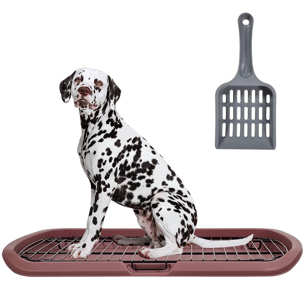 Dog toilet training with Barrier grid, Splash-proof design, Carrying handle, and Litter scoop, Large stainless steel dog toilet for All-sized breeds, Ideal for indoor/outdoor use, 65 cm (Chocolate)