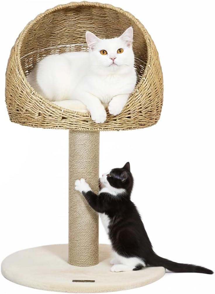 Cat tree small with Wicker basket, natural tower, Scratching post, and Easy to assemble, 75cm Indoor cat furniture for kittens to Adult cats, Cat play and Rest tower, Soft Cushion (Beige)