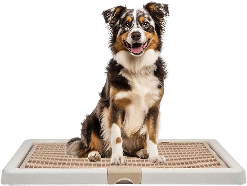 Large Dog Potty Tray Training Seat | Dog Toilet Pee Tray | Pee Pads for Dogs | Puppy Pee for Indoor & Outdoor Use | Keep Paws, Floor Clean & Portable