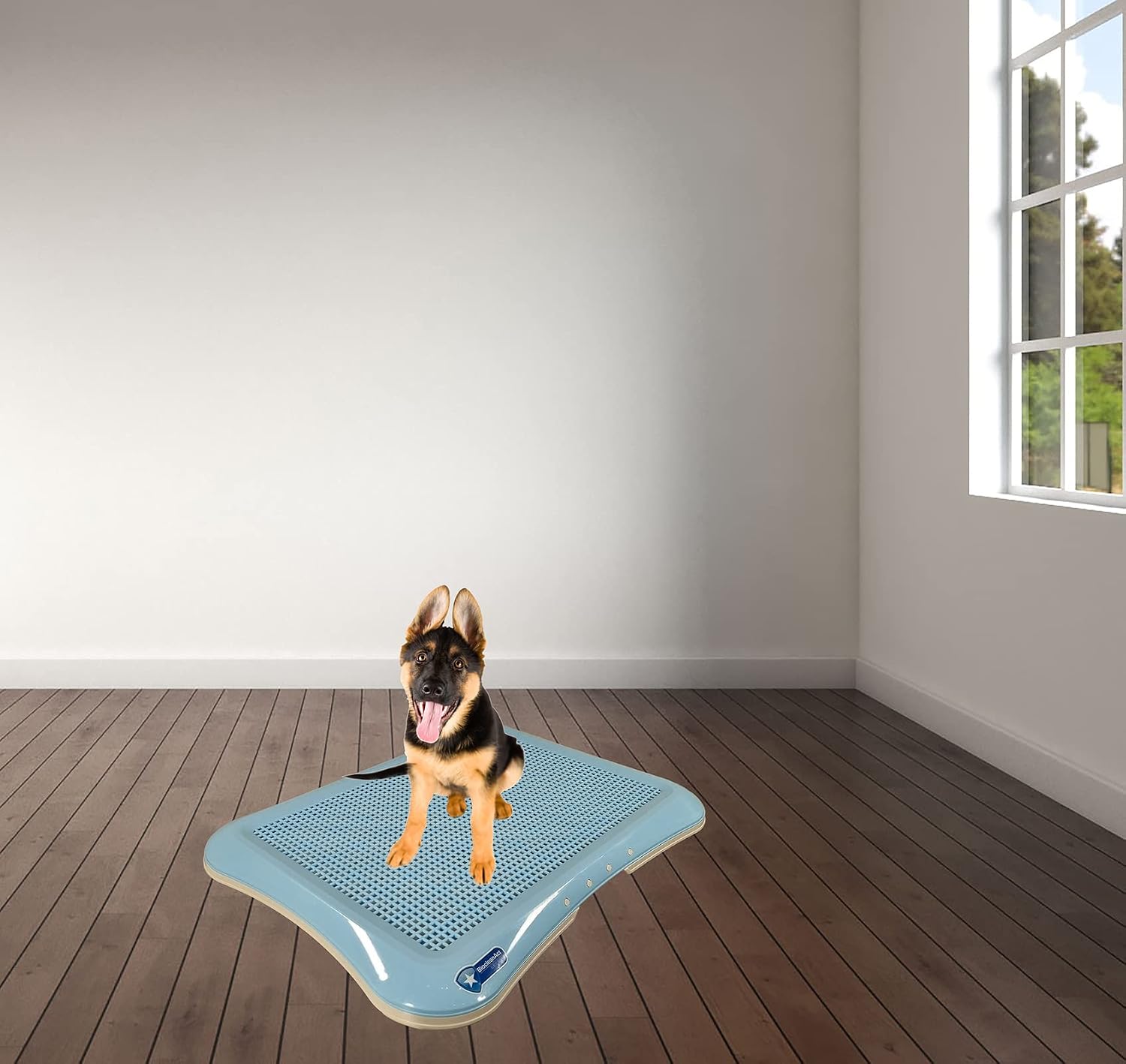 Dog toilet training for large dogs, Durable plastic flat dog toilet with Detachable design and Anti-slip bottom, Pet potty pee pad holder, Ideal for indoor & outdoor, Easy to clean 64 cm