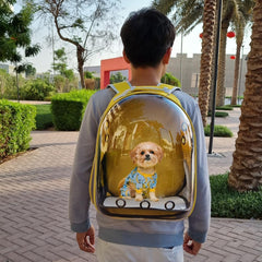 Pet backpack, Transparent breathable portable carrying bag, Airline-approved for cats and small dogs, Pet carrier designed for Travel, Hiking, and shopping outdoor