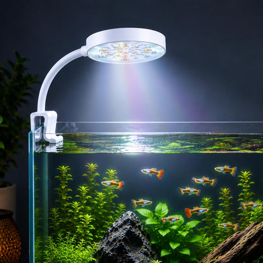 N6 Multicolor Aquarium LED Light 2.5W | WRGB Spectrum | 3 Lighting Modes | 360° Flexible Arm | Clip-On Lamp for Nano Fish Tanks & Bowls