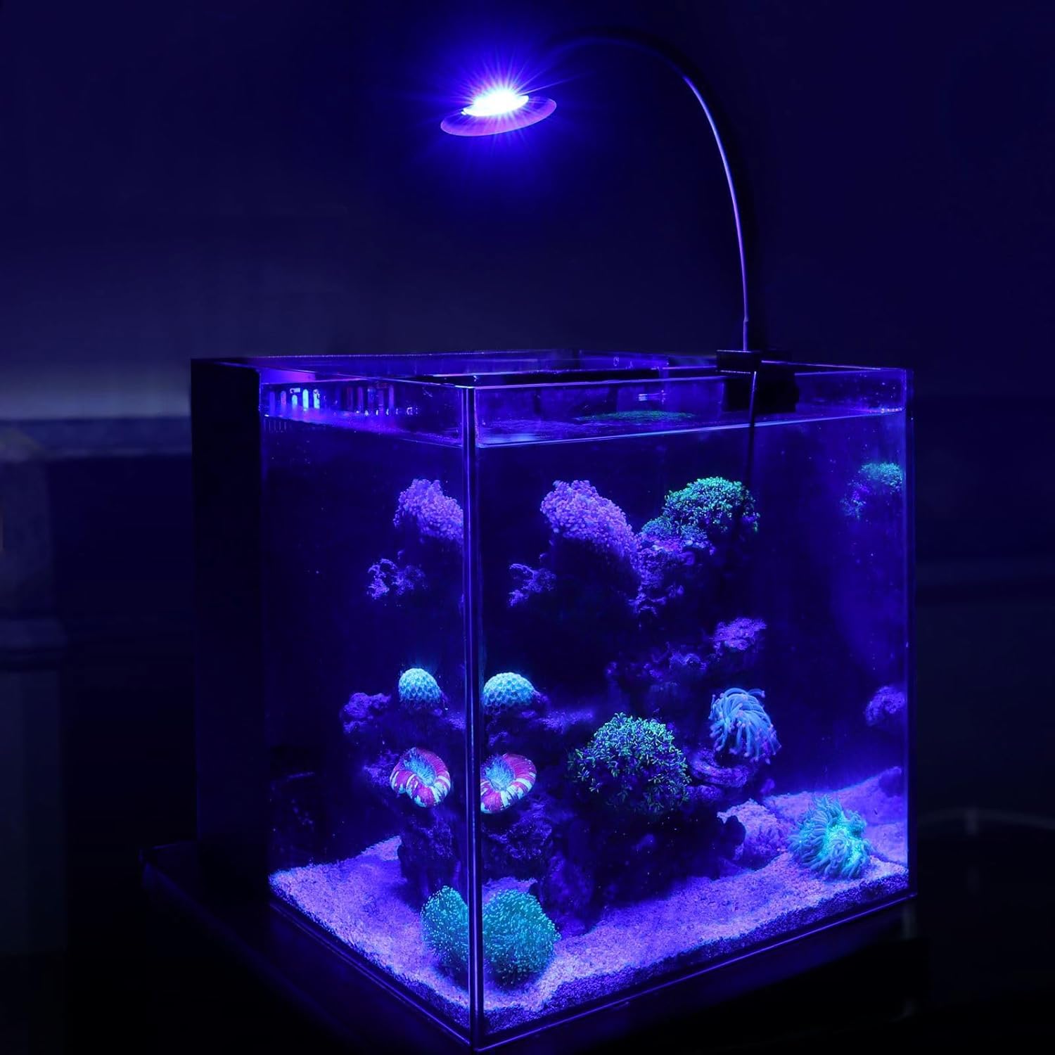 30W Clip On Reef LED Light for Saltwater Aquarium, Full Spectrum Marine Lighting with Adjustable Brightness and 3 Timer Modes, Coral Nano Tank Lamp for Aquatic Plants and Reef Coral Growth
