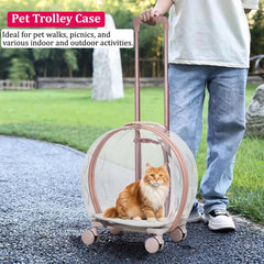 Transparent pet carrier for cats and dogs, Pet stroller with Telescopic handle, Durable zipper, Ventilation holes, and Rolling wheels, Suitable for outdoor activities, 93 cm
