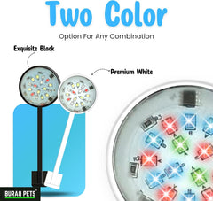 N6 Multicolor Aquarium LED Light 2.5W | WRGB Spectrum | 3 Lighting Modes | 360° Flexible Arm | Clip-On Lamp for Nano Fish Tanks & Bowls