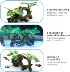 Aquarium Driftwood for Fish Tanks & Reptile Terrariums, Safe Fish Tank Decoration, Easy to Clean Aquarium Decor Accessories, Betta Fish Tank (6.4“*4”*2.4“)
