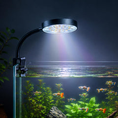 N6 Multicolor Aquarium LED Light 2.5W | WRGB Spectrum | 3 Lighting Modes | 360° Flexible Arm | Clip-On Lamp for Nano Fish Tanks & Bowls