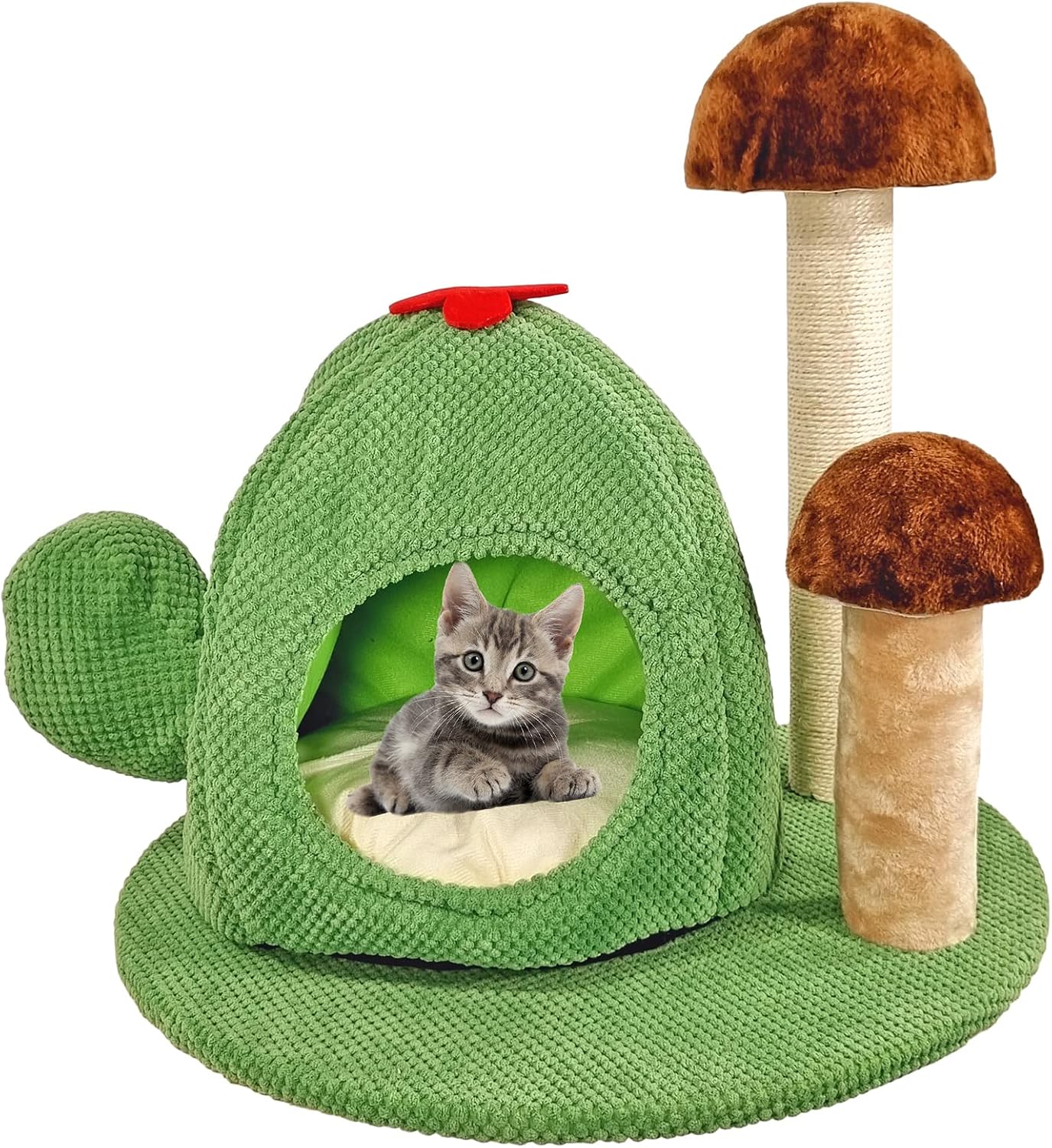 Cat tree scratcher with Turtle shaped cat condo and Mushroom scratching post, Detachable design cat tree activity center for indoor cats, Easy to assemble 52 cm (Green)