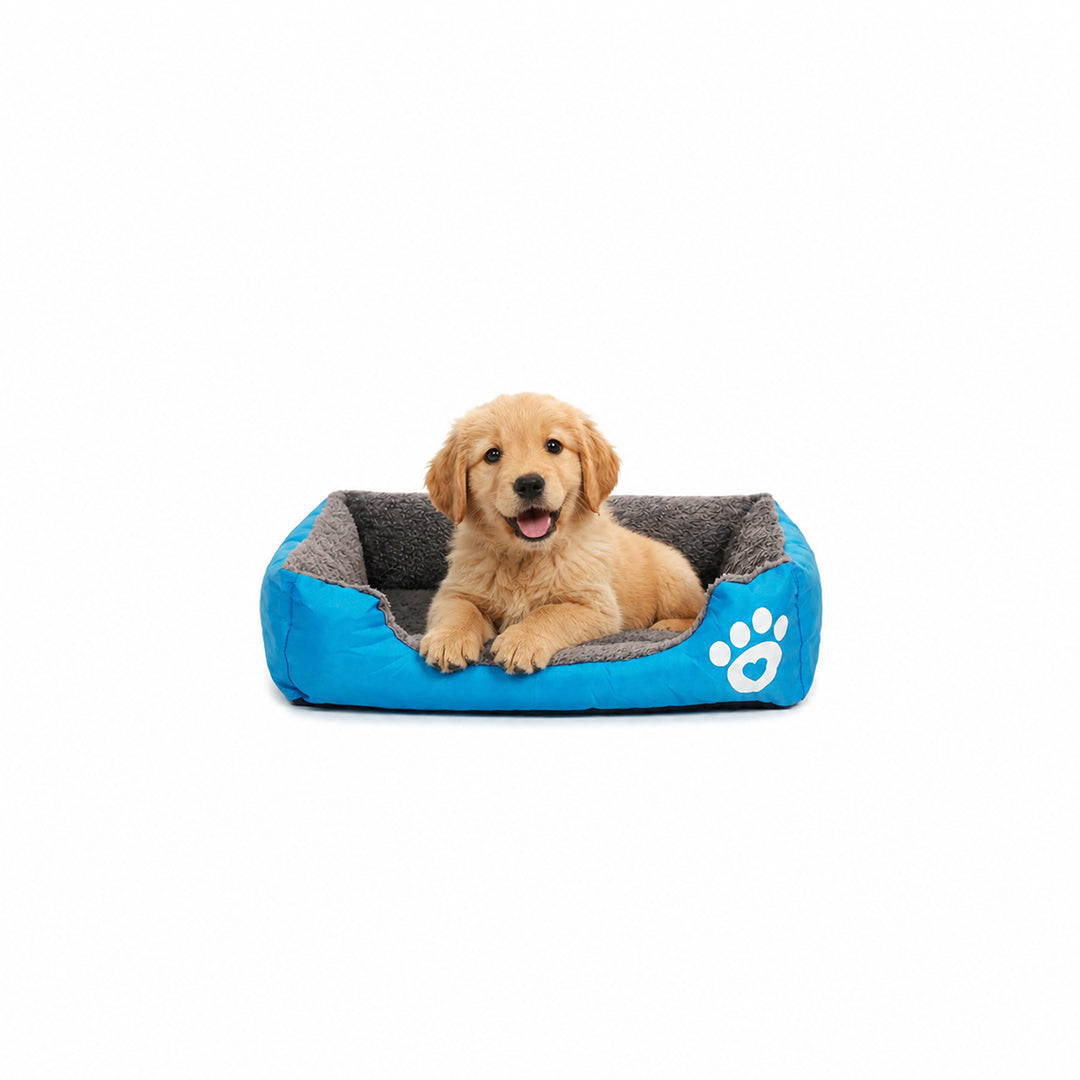Pet bed with Soft plush, Low entry, Portable and Lightweight, 53 cm Cozy indoor lounger for puppies and kitten, Pet cushion with Raised sides, Comfortable, Warm, Washable & Breathable Pet Sofa