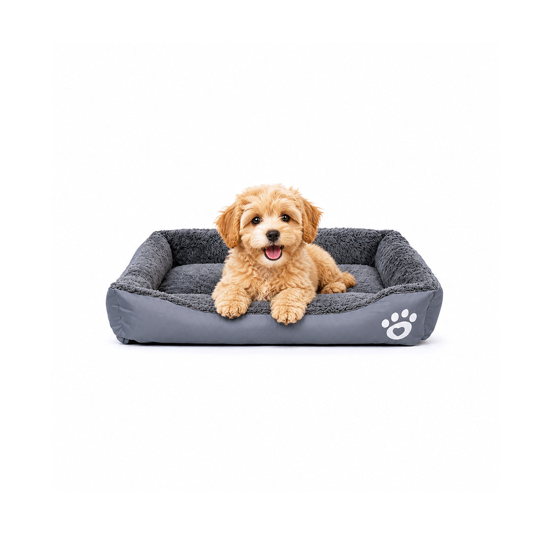 Pet bed with Soft plush, Low entry, Portable and Lightweight, 61 cm Cozy indoor lounger for small Dogs and Cats, Pet cushion with Raised sides, Comfortable, Warm, Washable & Breathable Pet Sofa
