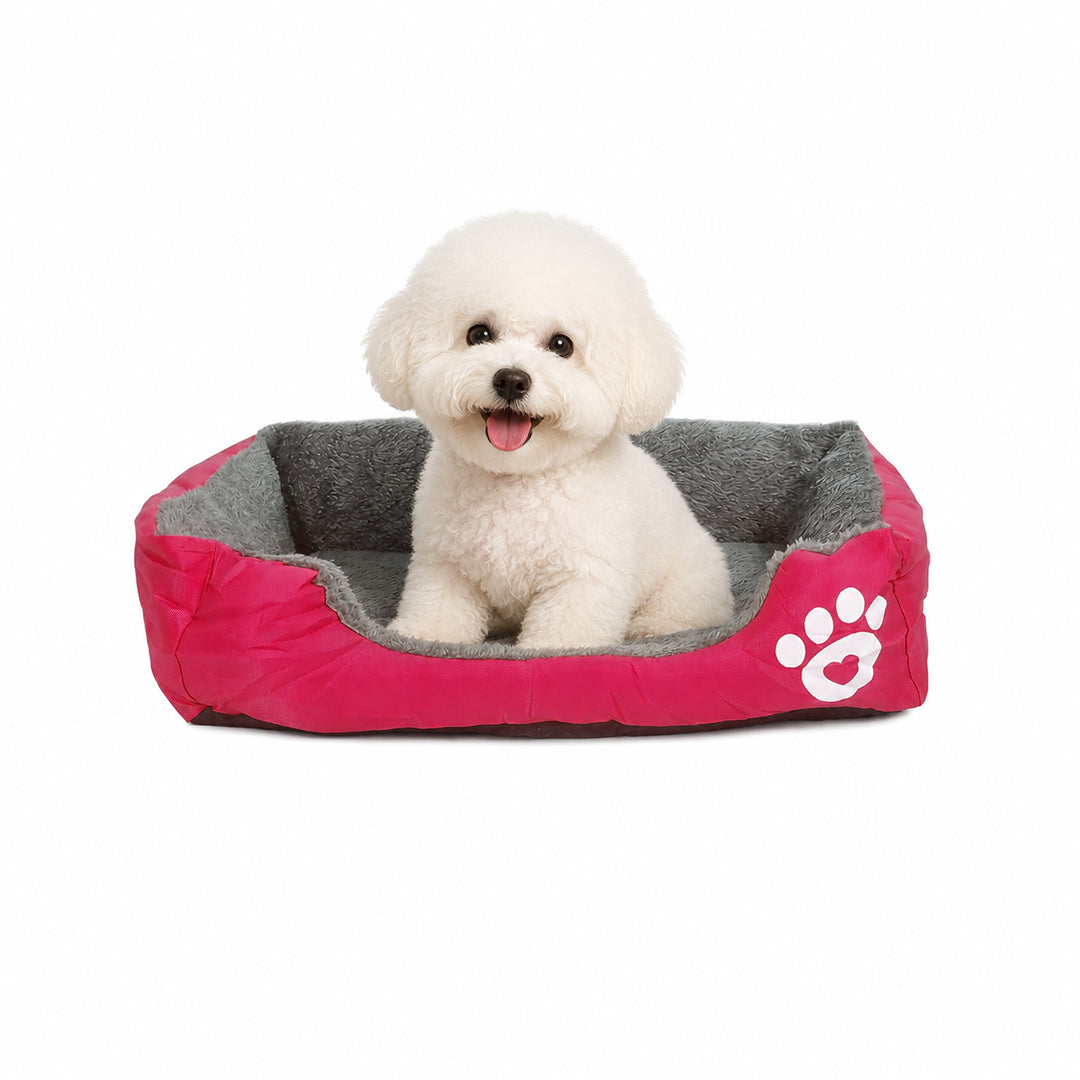 Pet bed with Soft plush, Low entry, Portable and Lightweight, 53 cm Cozy indoor lounger for puppies and kitten, Pet cushion with Raised sides, Comfortable, Warm, Washable & Breathable Pet Sofa