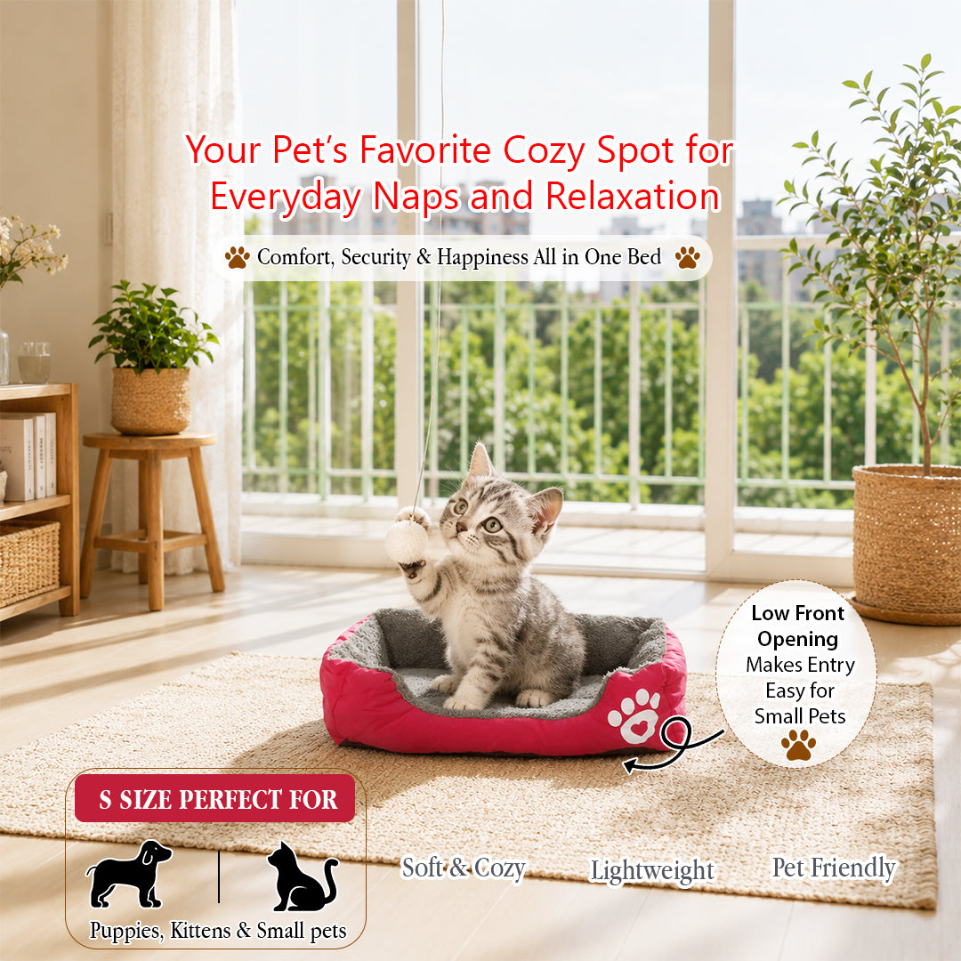Pet bed with Soft plush, Low entry, Portable and Lightweight, 53 cm Cozy indoor lounger for puppies and kitten, Pet cushion with Raised sides, Comfortable, Warm, Washable & Breathable Pet Sofa