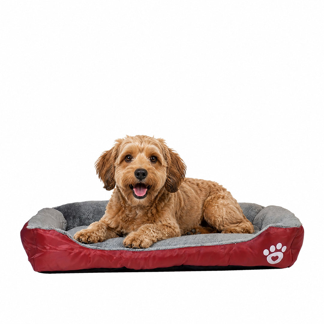 Orthopedic dog bed for Medium dogs, Soft plush pet sofa bed with Raised bolsters design, Soft plush surface, and Non-slip bottom, Comfortable calming puppy cushion, Easy to clean, 80 cm (XL)