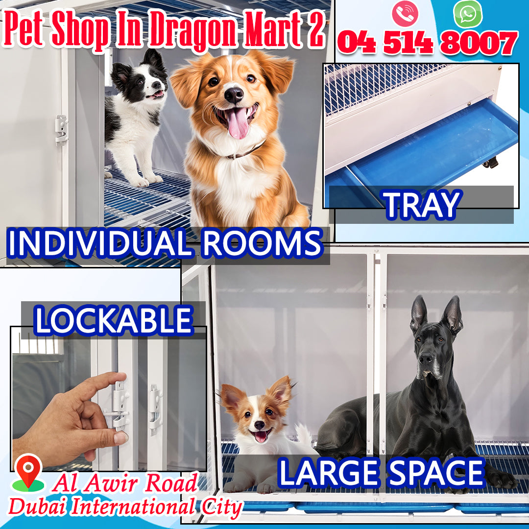 Pet Partition Cage with Wheels, Multi-Compartment Stackable Pet Kennel for Dogs, Cats & Rabbits, Heavy Duty Modular Pet Boarding Cage, Indoor Pet Enclosure, Veterinary Recovery Cage, Pet Isolation Housing System.
