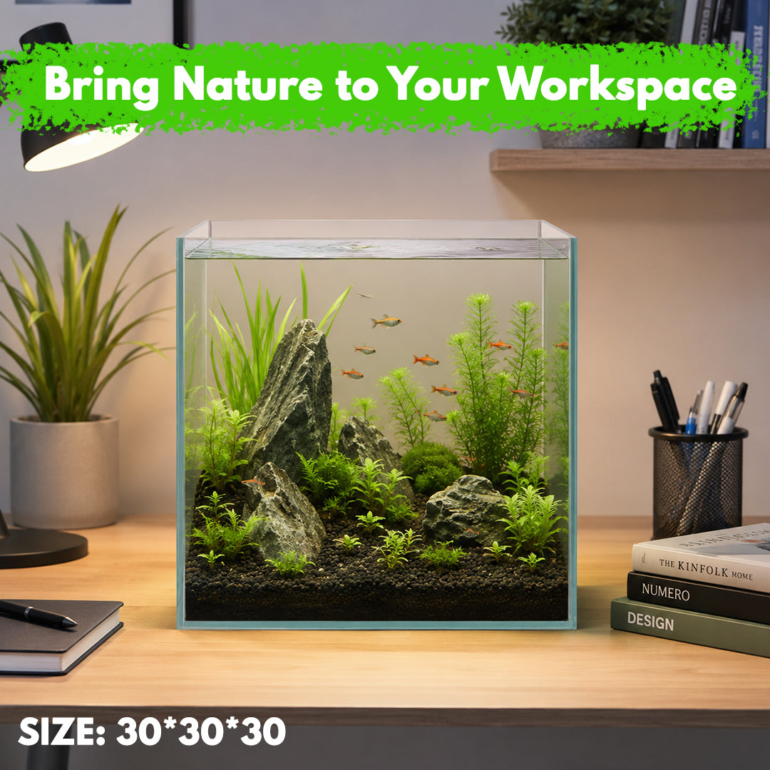 Ultra Clear Rimless Glass Aquarium Tank, Transparent Fish Tank for Freshwater & Saltwater Aquariums, Crystal Clear Glass Display Tank for Betta Fish, Shrimp, Aquascaping & Home Office Decor (27 L/15L)