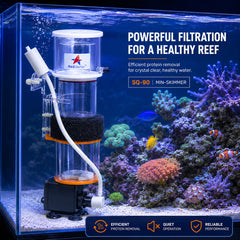 Mini Protein Skimmer for Saltwater Aquarium with Built-in Pump, Internal Nano Reef Tank Skimmer, Efficient Foam Fractionator for Marine Fish Tanks, Compact Aquarium Filtration System