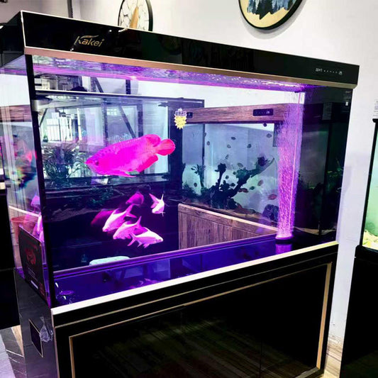 Premium LED Aquarium with Designer Cabinet