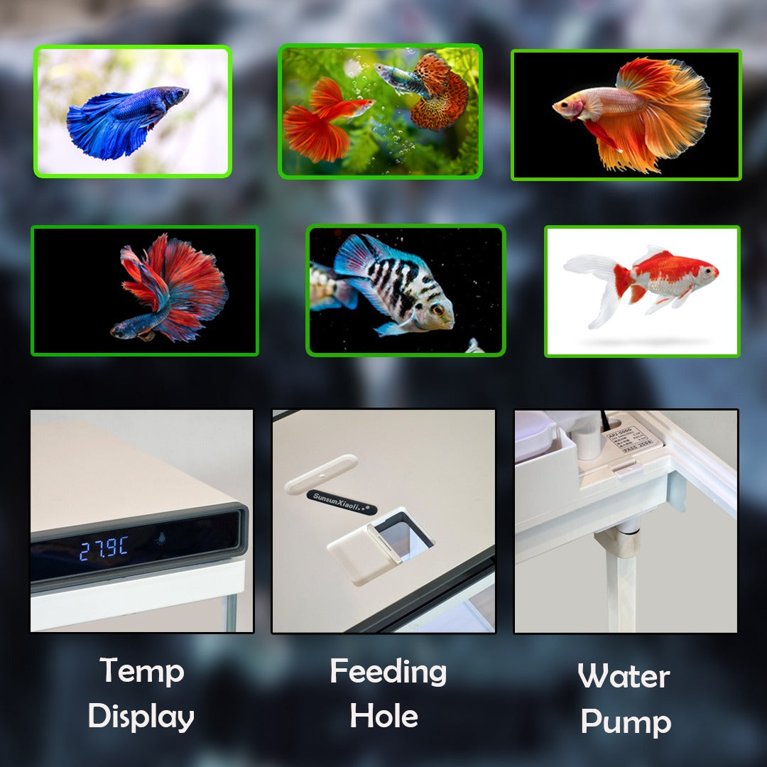 Glass Aquarium Starter Kit – Ultra-Clear Nano Fish Tank with Smart Digital Temperature Display, Built-In Top Filtration, Water Pump, and LED Light for Betta, Shrimps, and Small Fish (White)