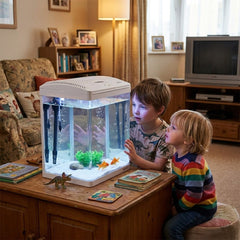 Glass Fish Tank Eco-Aquarium with Integrated Top Filter and LED Lighting System, 20-Liter Desktop Starter Kit for Freshwater and Saltwater Fish ( White )