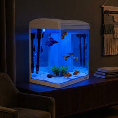Glass Fish Tank Eco-Aquarium with Integrated Top Filter and LED Lighting System, 20-Liter Desktop Starter Kit for Freshwater and Saltwater Fish ( White )