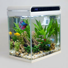 Sunsun Smart Desktop Glass Aquarium Kit - 12Ltr Small Fish Tank with Built-in Top Filter Pump, LED Hood Light, and Real-Time Digital Temperature Display, Starter Kit for Betta and Goldfish ( White )