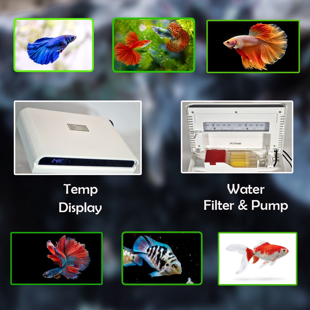Sunsun Smart Desktop Glass Aquarium Kit - 12Ltr Small Fish Tank with Built-in Top Filter Pump, LED Hood Light, and Real-Time Digital Temperature Display, Starter Kit for Betta and Goldfish ( White )