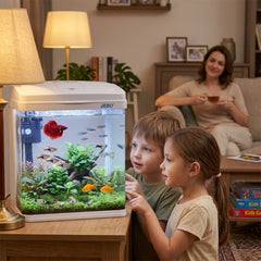 JEBO Small Desktop Aquarium Fish Tank with Built-In Top Filter and Submersible Water Pump, White Mini Nano Glass Tank Starter Kit for Betta, Guppies, and Shrimp