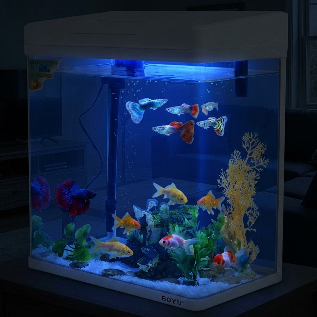 BOYU Small Desktop Aquarium Starter Kit - Compact Glass Fish Tank with LED Hood Light, Top Filter Pump, and Air Aeration System for Bettas and Guppies (White)