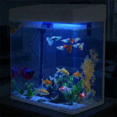 BOYU Small Desktop Aquarium Starter Kit - Compact Glass Fish Tank with LED Hood Light, Top Filter Pump, and Air Aeration System for Bettas and Guppies (White)