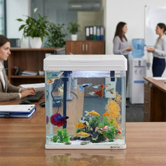 BOYU Small Desktop Aquarium Starter Kit - Compact Glass Fish Tank with LED Hood Light, Top Filter Pump, and Air Aeration System for Bettas and Guppies (White)