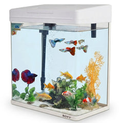 BOYU Small Desktop Aquarium Starter Kit - Compact Glass Fish Tank with LED Hood Light, Top Filter Pump, and Air Aeration System for Bettas and Guppies (White)