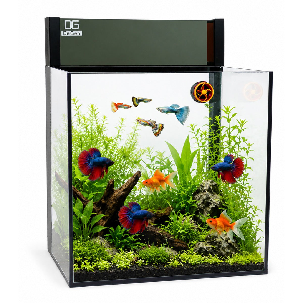 DeGen Rimless Desktop Aquarium Starter Kit - Premium Ultra-Clear Glass Fish Tank with Integrated LED Backlighting, Hidden Top Filter Pump, and Smart Cooling Fan for Bettas and Guppies (Black)