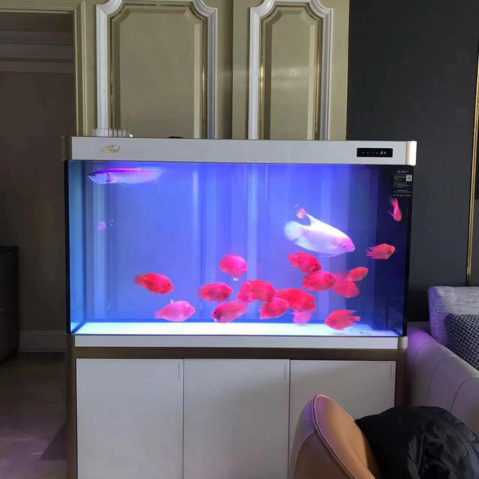 Luxury Glass Aquarium with Cabinet Stand