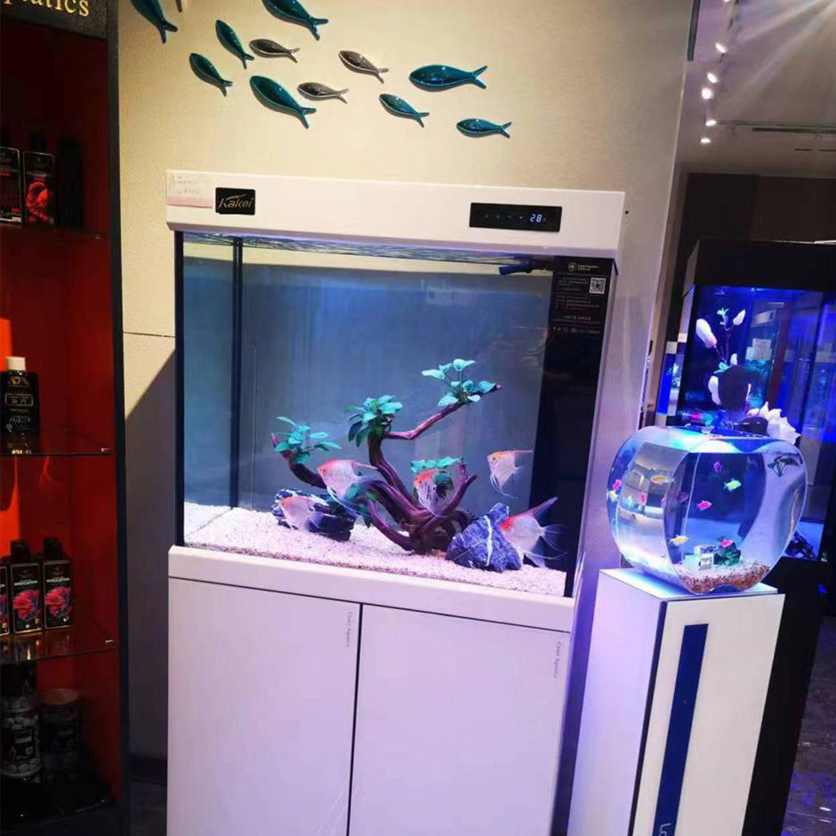 Premium Designer Aquariums & Complete Aquatic Solutions